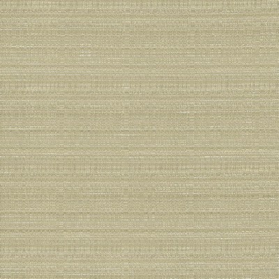 Kasmir BURKE            SILT            