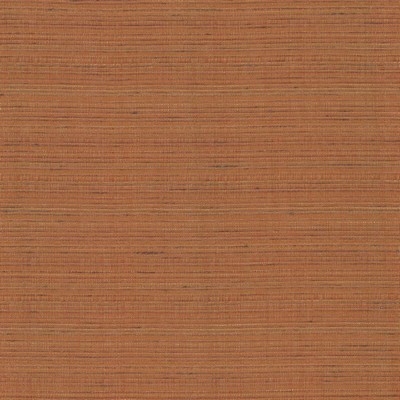 Kasmir BURKE            TUSCANY         