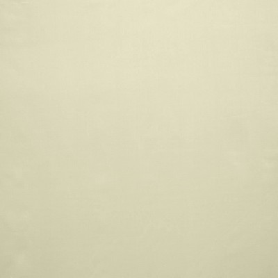 Kasmir CELINE           OYSTER          