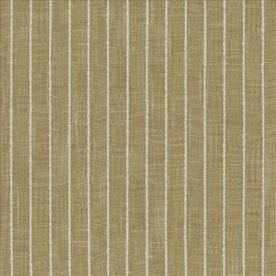 Kasmir CHARISMATIC      JASMINE         