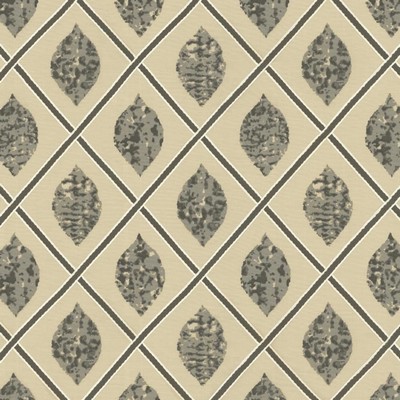 Kasmir COLLAGE          COAL            