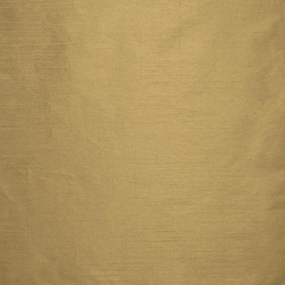 Kasmir COMPLEMENTARY    BUFF            