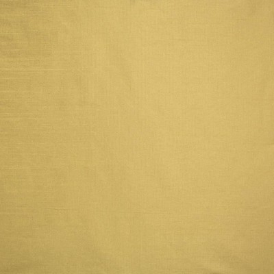 Kasmir COMPLEMENTARY    LATTE           