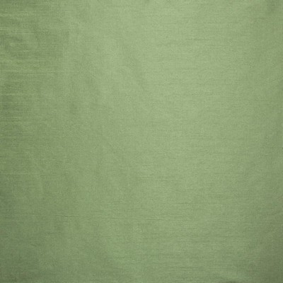 Kasmir COMPLEMENTARY    SAGE            