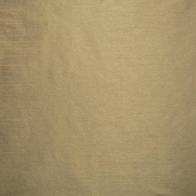 Kasmir COMPLEMENTARY    TAUPE           