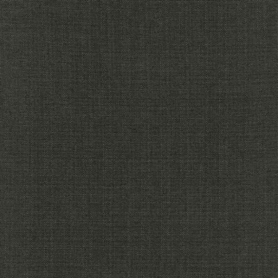 Kasmir Copenhagen CARBON          