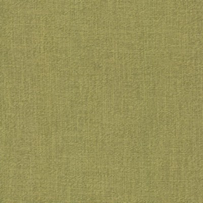 Kasmir CROSSING         SPRIG           