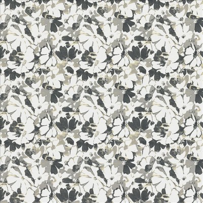 Kasmir DAYFLOWER        GREY            