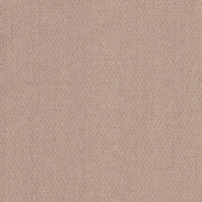 Kasmir DERRIL           LILAC           