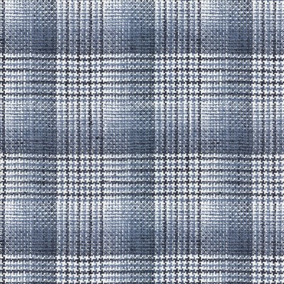 Kasmir DISTINGUISHED    LAKELAND        