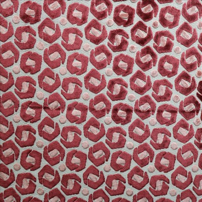 Kasmir DOLLOP           BLOSSOM         