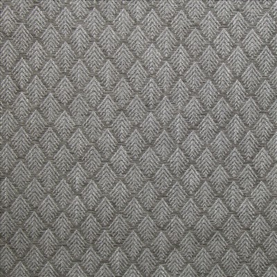 Kasmir ERBACH           PEBBLE          