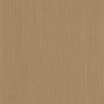 Kasmir EXPLORER         FAWN            