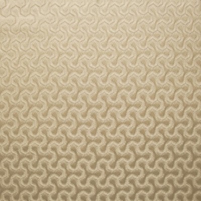 Kasmir FIDGET           PATINA          