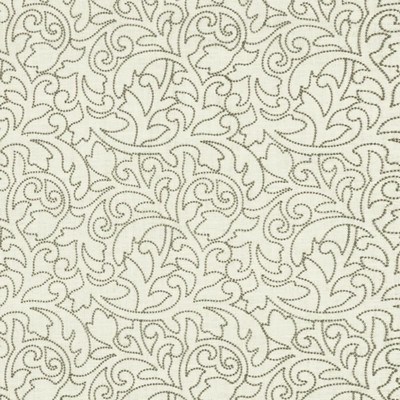 Kasmir FILLY            GREY            