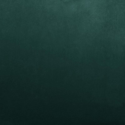 Kasmir FR SAVOR         AEGEAN          