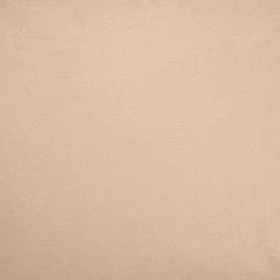 Kasmir FR SAVOR         BLUSH           