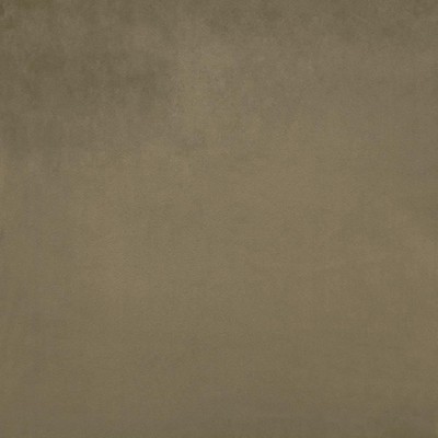 Kasmir FR SAVOR         CAFE            