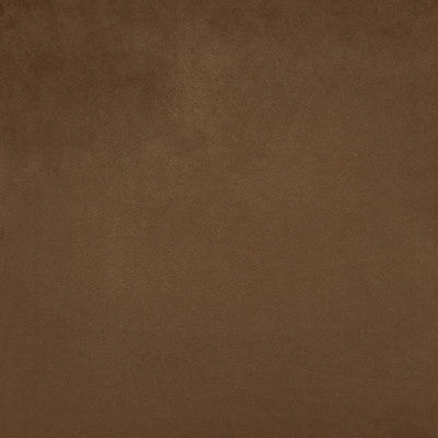 Kasmir FR SAVOR         CIDER           