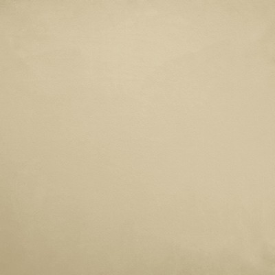 Kasmir FR SAVOR         DOVE            