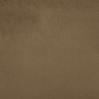 Kasmir FR SAVOR         MUSHROOM        