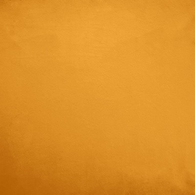 Kasmir FR SAVOR         ORANGE          