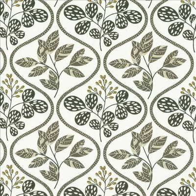 Kasmir FRANCA           PLATINUM        