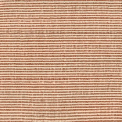 Kasmir FULL SPEED       SPICE           