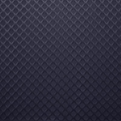 Kasmir GAINESWOOD       INDIGO          