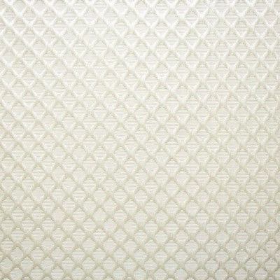 Kasmir GAINESWOOD       WHITE           