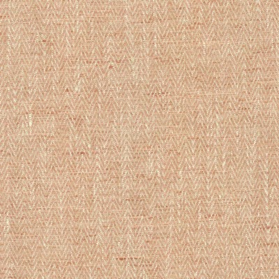 Kasmir HOMESTRETCH      BLOSSOM         