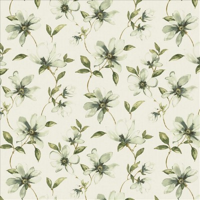 Kasmir ILLUMINATION     FROST           