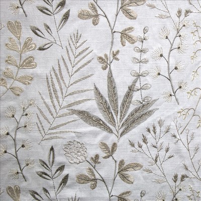 Kasmir INZA             DUNE            