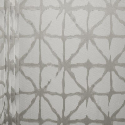 Kasmir JACQUELINE       PLATINUM        