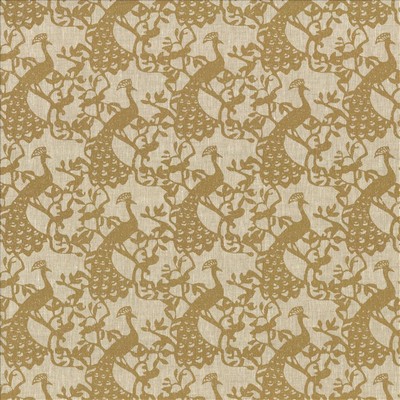 Kasmir JOANNA           GOLD            