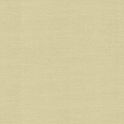 Kasmir JOEY             CREME           