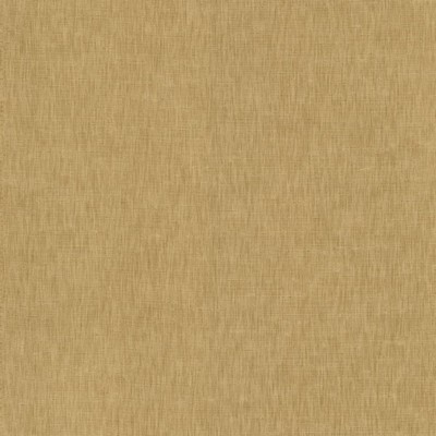 Kasmir KAMARI           CAMEL           