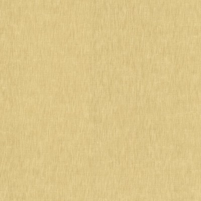 Kasmir KAMARI           SAND            