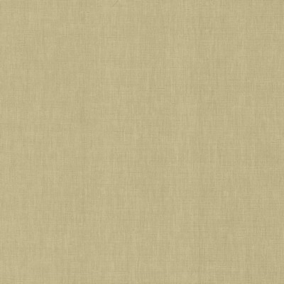 Kasmir KAMARI           TAUPE           