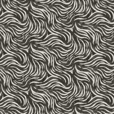 Kasmir KENZIE           NOIR            