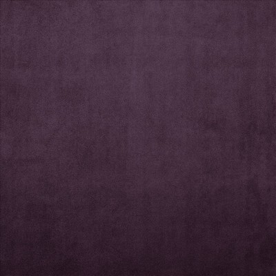 Kasmir KNOCKOUT         AUBERGINE       