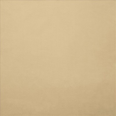 Kasmir KNOCKOUT         BEIGE           