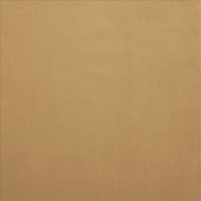 Kasmir KNOCKOUT         HONEY           