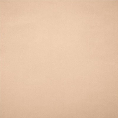 Kasmir KNOCKOUT         ROSE            