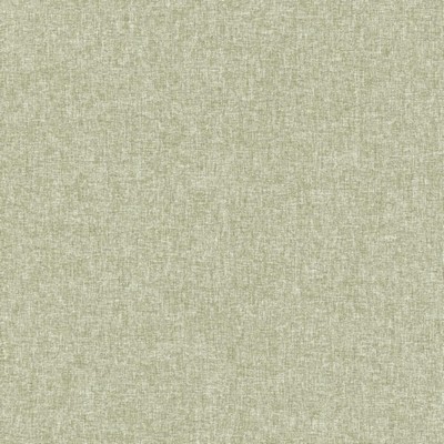 Kasmir Kosovo MEADOW          