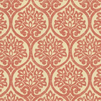 Kasmir LALI             CORAL           