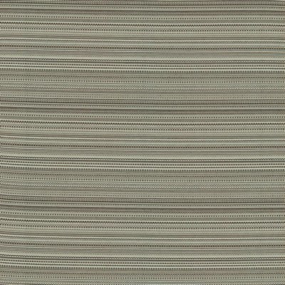 Kasmir LEGENDARY        GRAPHITE        