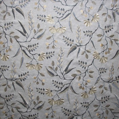 Kasmir LUCERA           SHADOW          