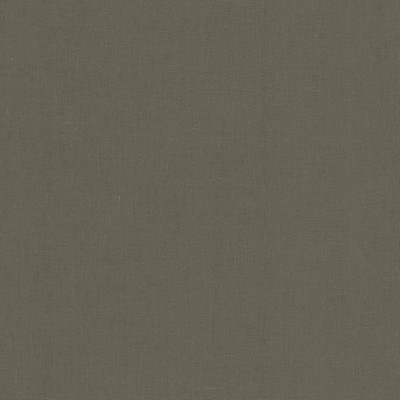 Kasmir LUCILLE          GREY            