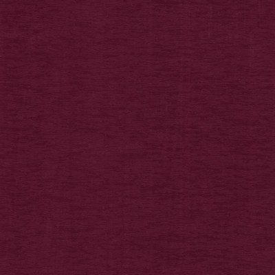 Kasmir LUCINDA          EGGPLANT        